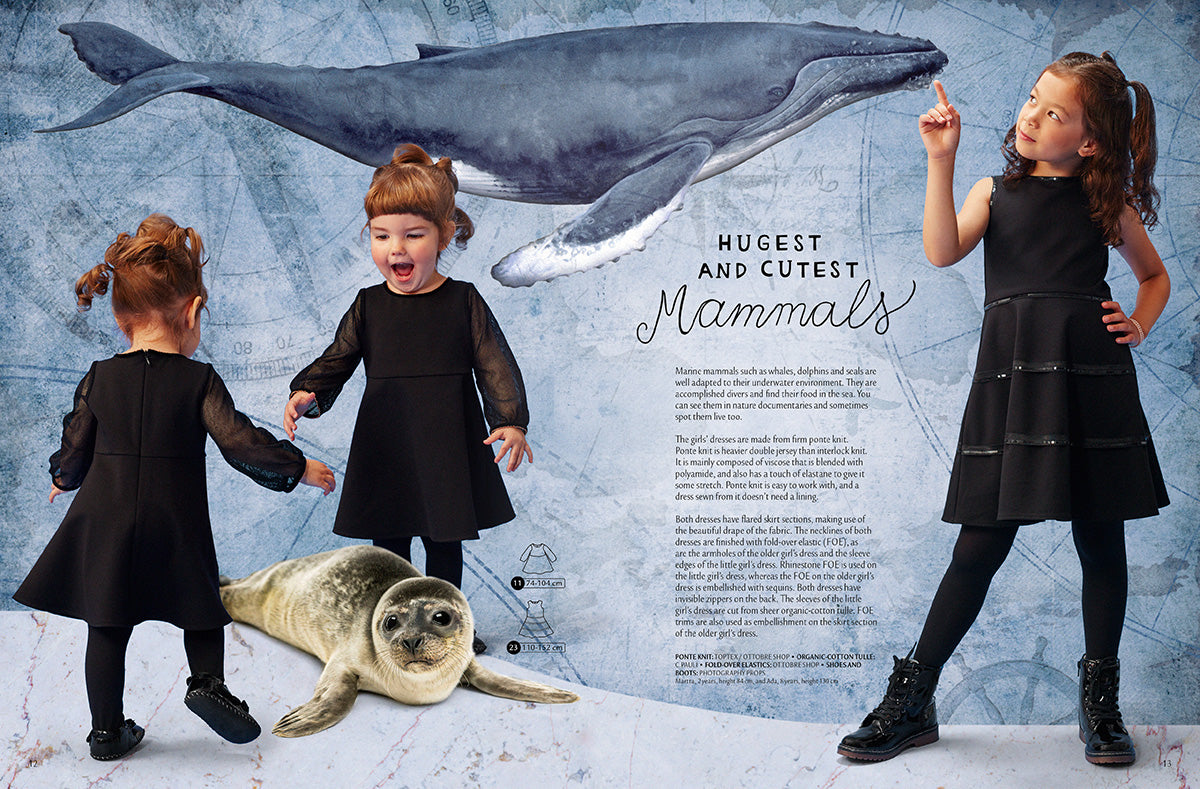 Magazine page 5 2017_6