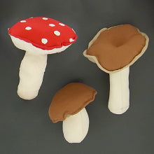 Mushroom chart