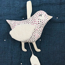 Evening song bird music box